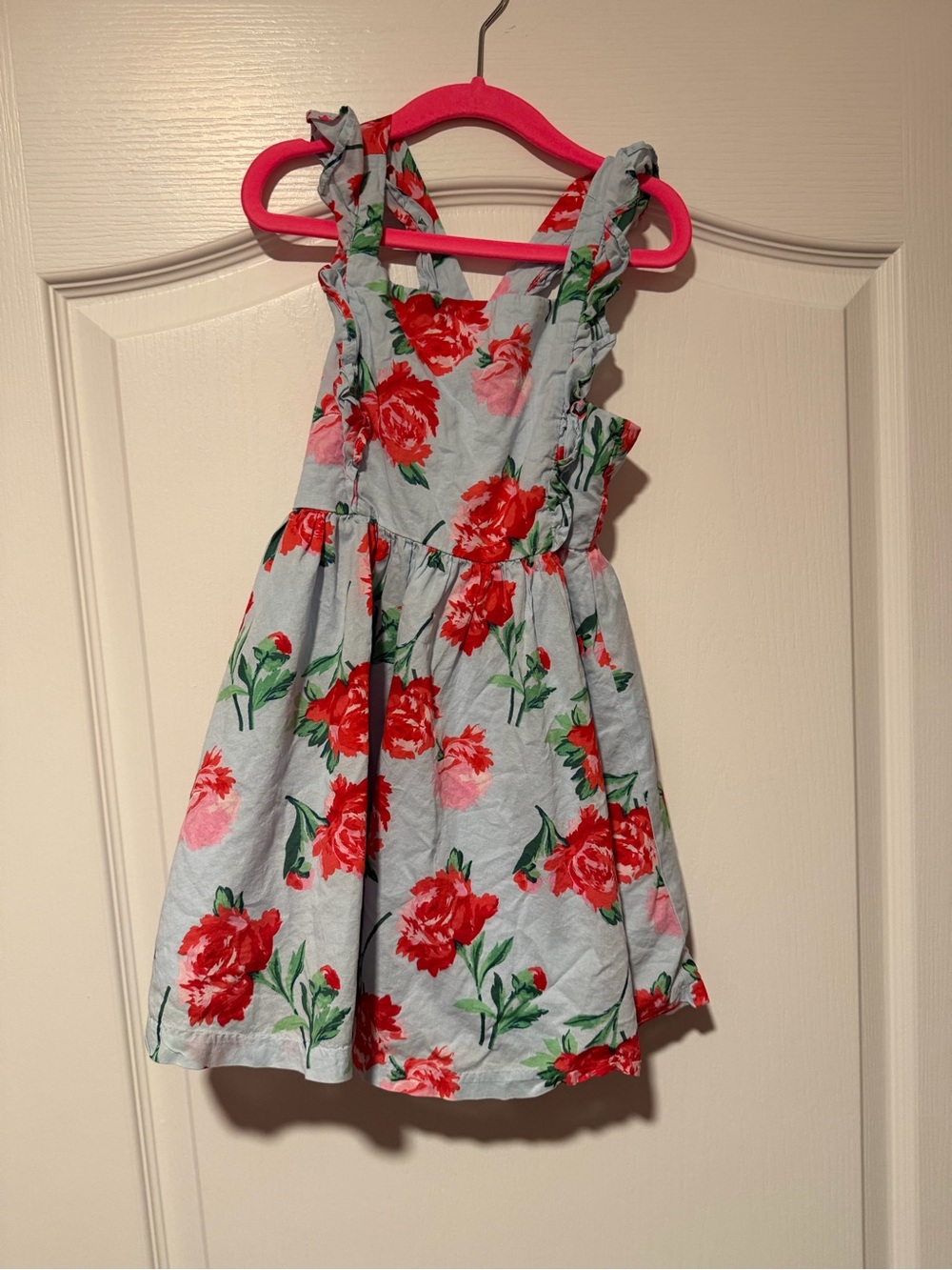 Janie and Jack Light Blue Sundress with Red Floral Print
